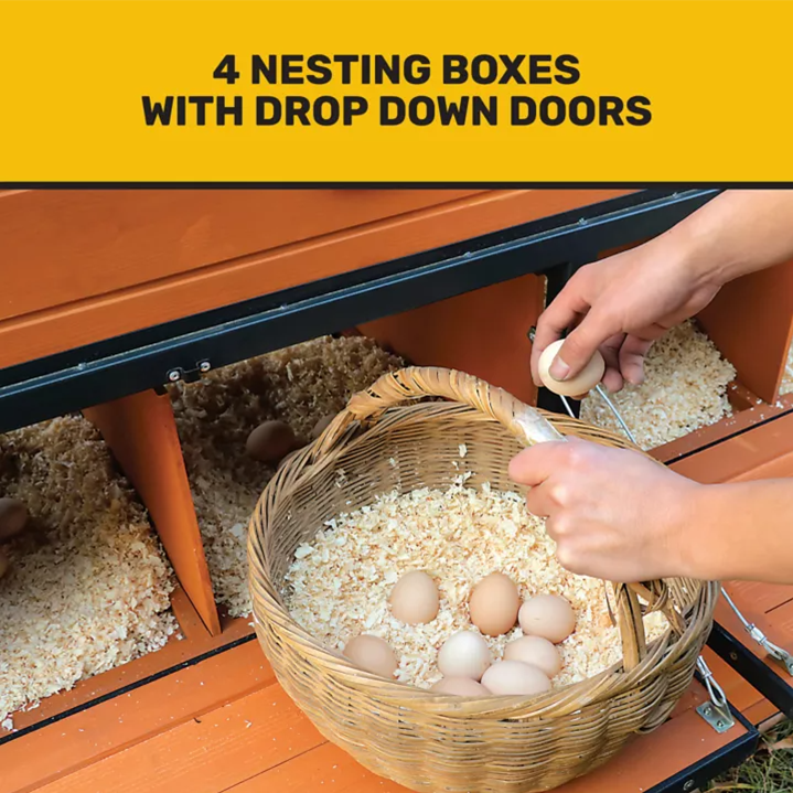 Producer's Pride Defender Extra-Large Chicken Coop, 18 Chicken Capacity