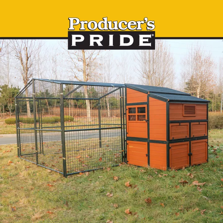 Producer's Pride Defender Extra-Large Chicken Coop, 18 Chicken Capacity